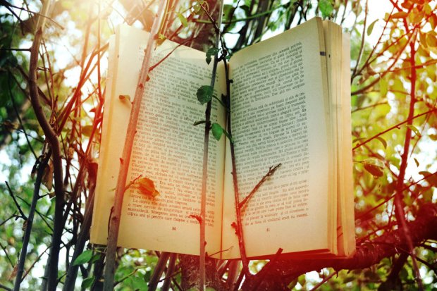 do_you_believe_in_fairy_tales___by_ammozart-d5gxlce