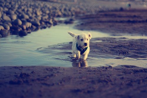 May-16-2012-01-10-16-thfthhhth