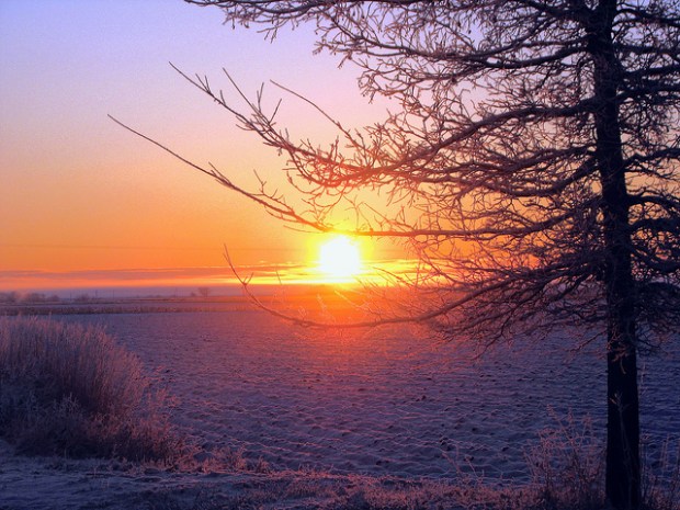 6942569882_b9740ed827_z